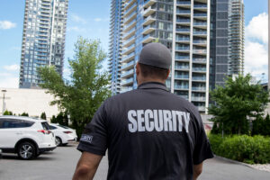 Hunter James Security emblem with American flags and eagle.